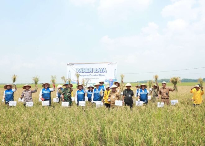 Pertamina dan Pemkab Blora Gelar Panen Raya Padi