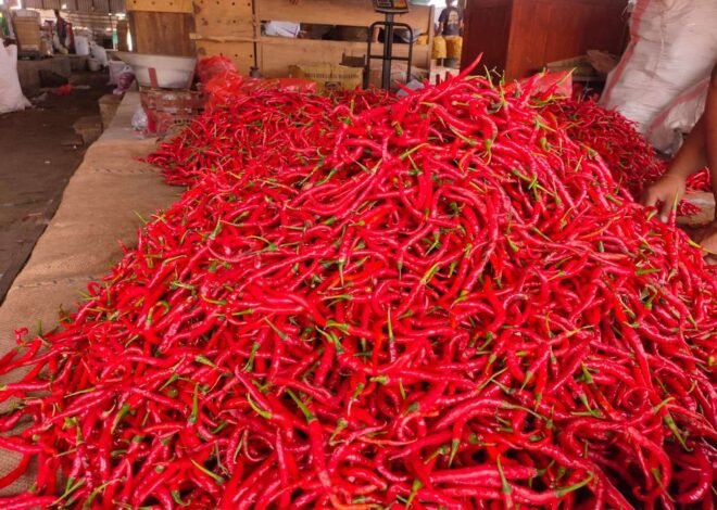 Harga Cabai Merah di Aceh Melonjak Tajam hingga Rp200 Ribu akibat Banjir