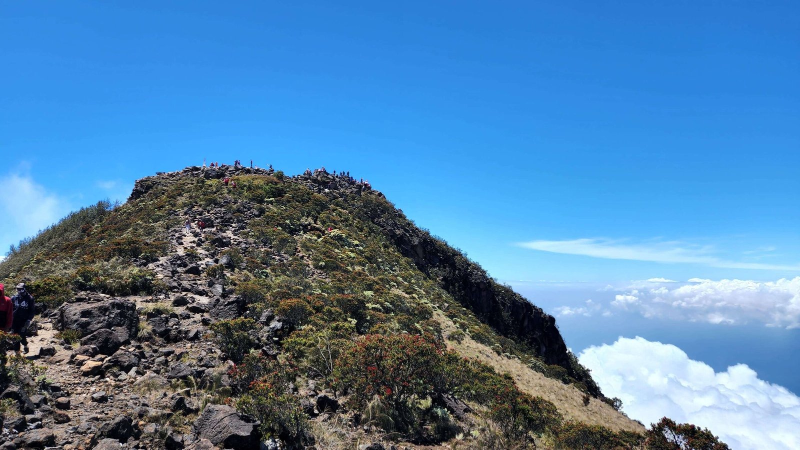 UPT Tahura Raden Soerjo Tutup Sementara Jalur Pendakian Arjuno dan Welirang karena Cuaca Ekstrem