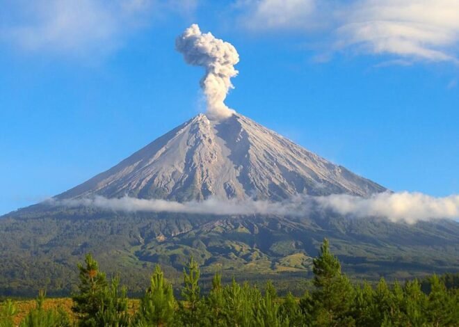 Larangan Wisata Gunung Semeru: BNPB Imbau Pemkab Lumajang Pasang Spanduk Zona Merah