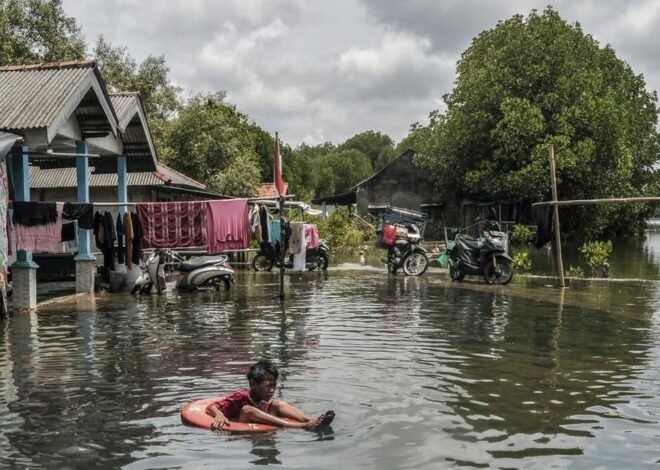 Banjir Rob Muaragembong Rendam 5 Desa: 14 Ribu Warga Terdampak, Aktivitas Lumpuh