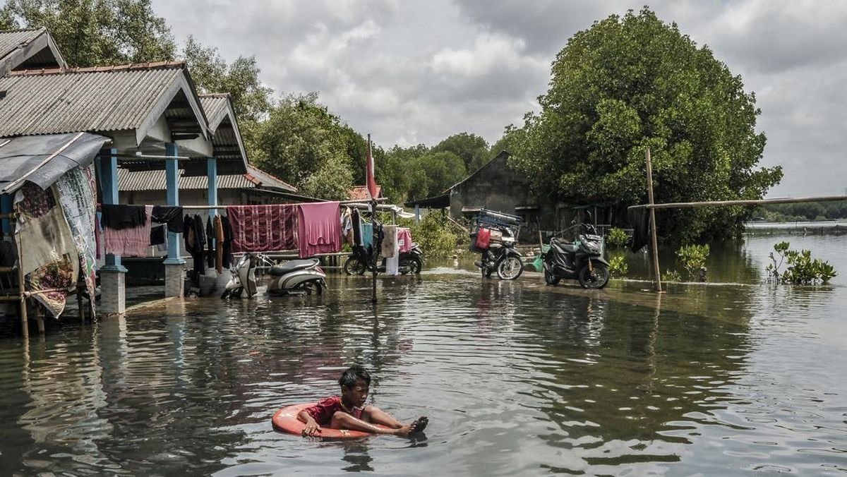 Banjir Rob Muaragembong Rendam 5 Desa: 14 Ribu Warga Terdampak, Aktivitas Lumpuh