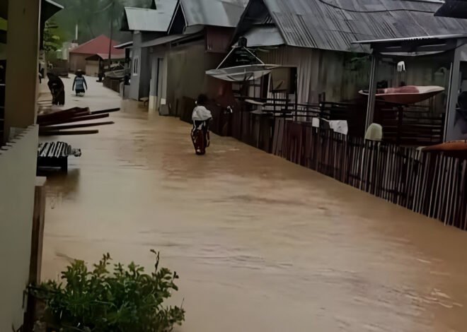 Banjir dan Longsor Donggala: Empat Desa di Sulteng Terdampak Curah Hujan Tinggi