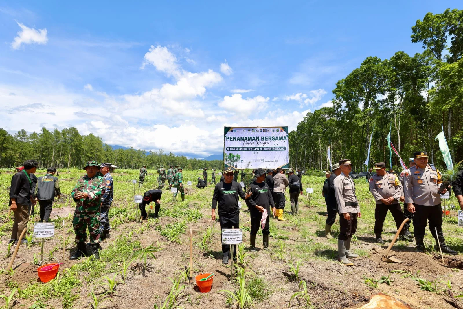 Wabup Banyuwangi Tekankan Pentingnya Penanaman Pohon Kembali