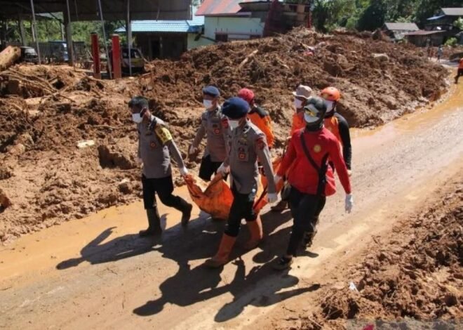 Update Terbaru Bencana Sumatera Utara 2025: Data Korban Luka dan Hilang