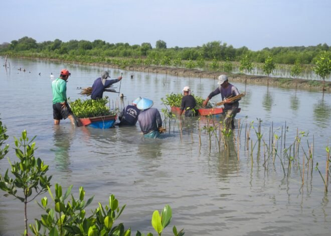 Pemprov Jatim Kembangkan Ekosistem Mangrove untuk Ekonomi Hijau dan UMKM Pesisir