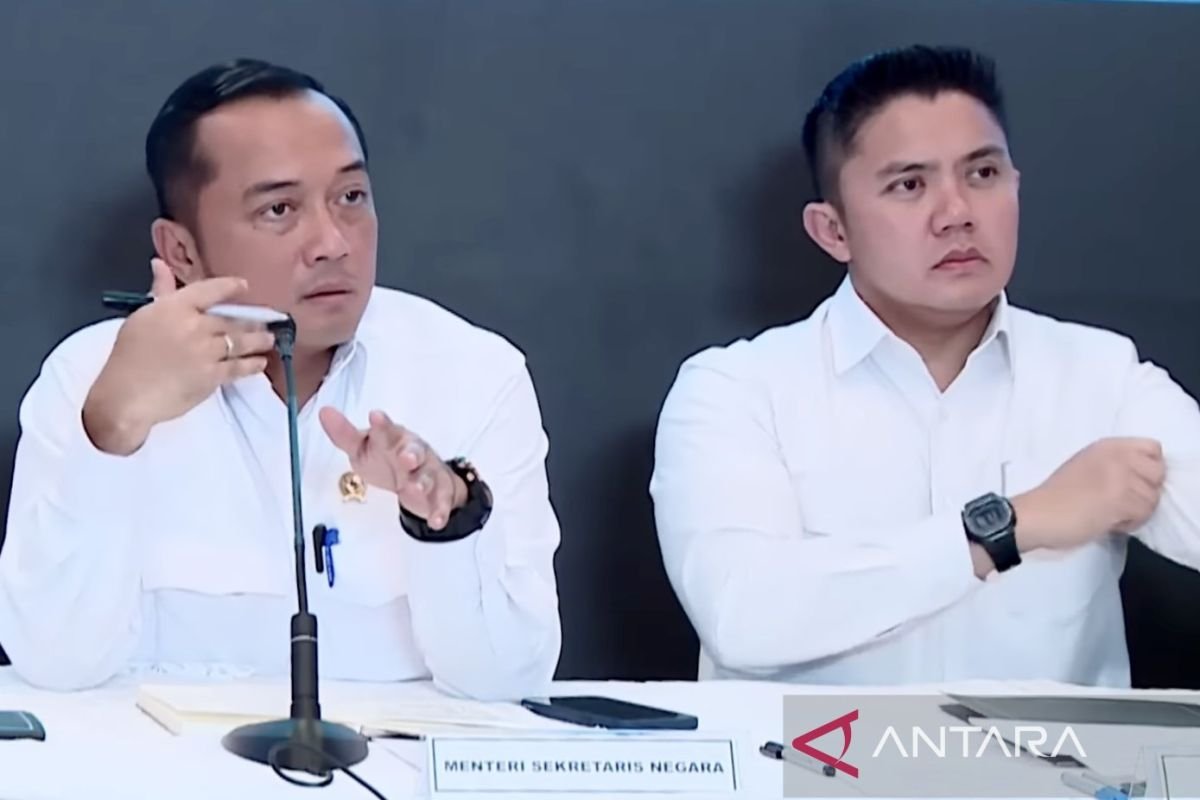 Audit Hutan Sumatera: Pemerintah Tindak Tegas Pembalakan Liar di Aceh, Sumut, dan Sumbar