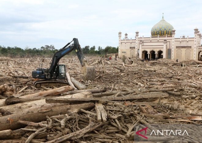 Koordinasi Lintas Sektor untuk Bersihkan Material Kayu Akibat Banjir di Sumatera