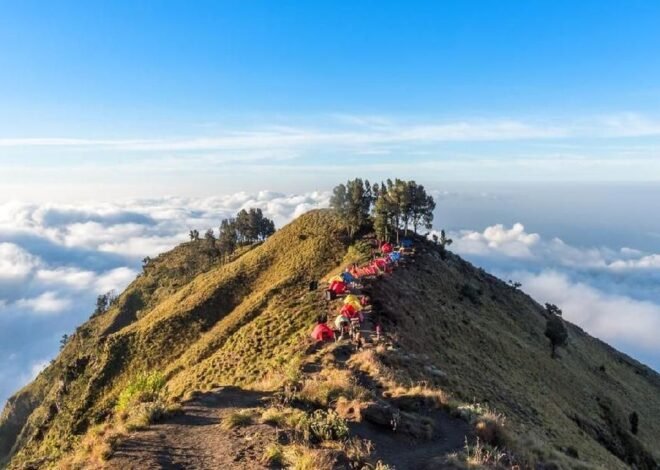 Gunung Rinjani dan Tambora Ditutup Sementara: Langkah Konservasi dan Keselamatan Pendaki