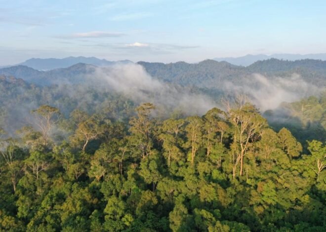 Kawasan Lindung Jawa Barat Menyusut 1,2 Juta Hektare, Risiko Bencana Meningkat