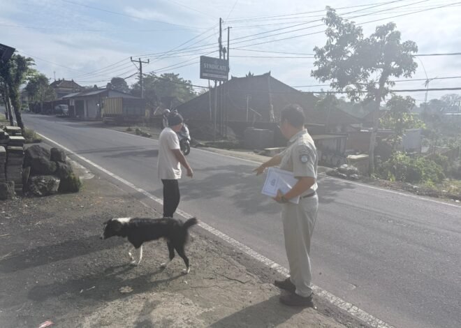 Komitmen Pelayanan Cepat, Jasa Raharja Bali Turun Langsung Survey TKP Kecelakaan di Kintamani Bangli