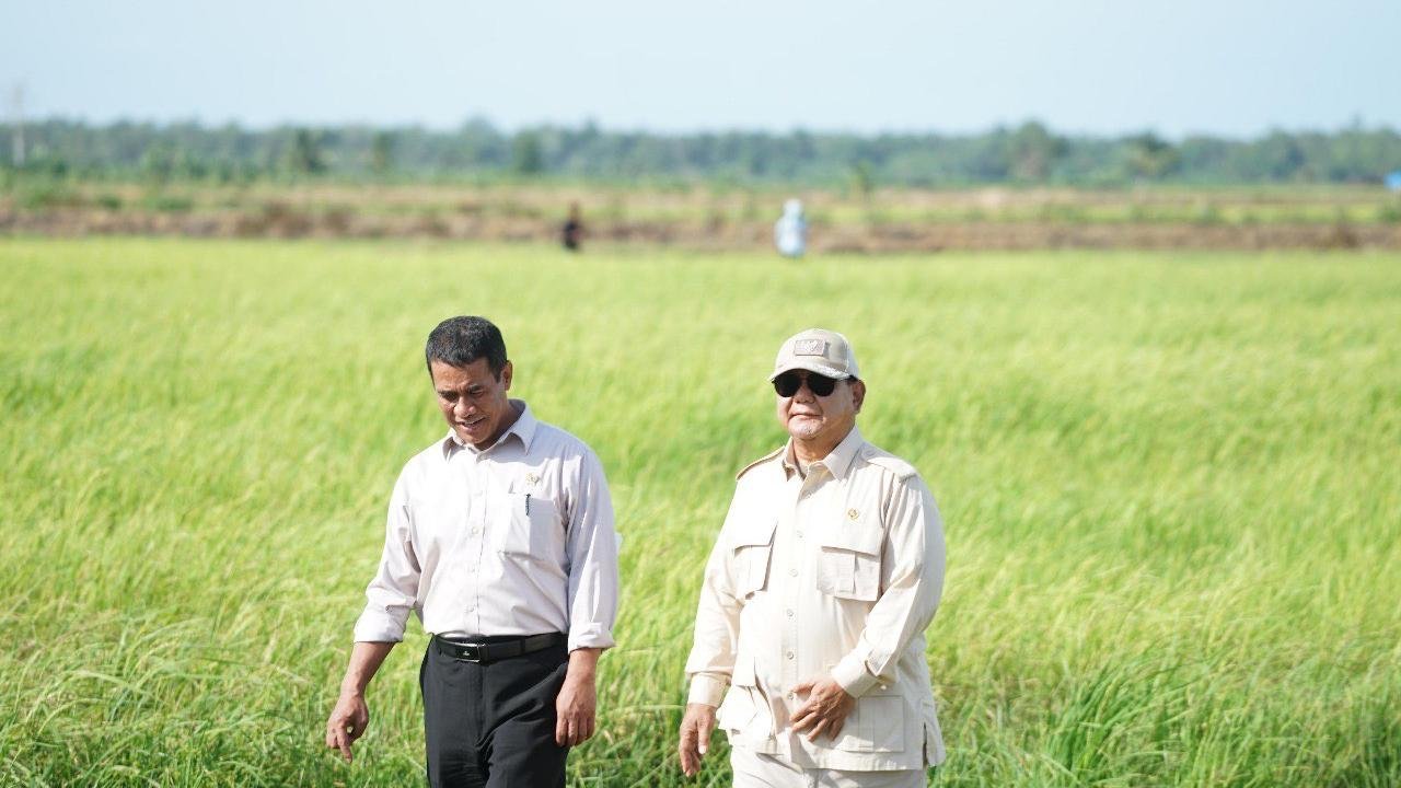Produksi Beras Nasional Tembus 34,7 Juta Ton, Cadangan Pangan Terbesar