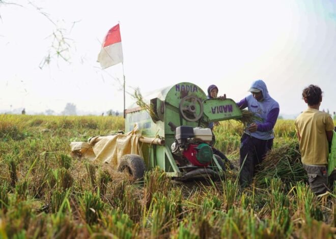 Bapanas Pastikan Stok Beras Aman dan Harga Terkendali di Awal 2026