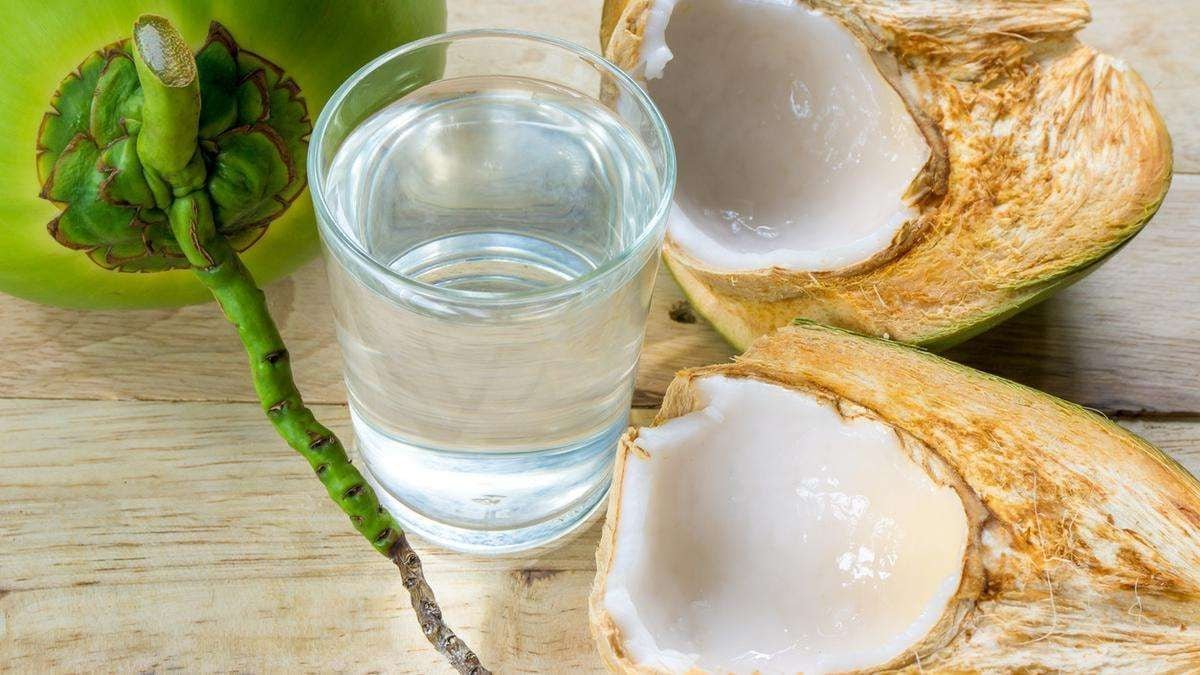 Air Kelapa: Minuman Alami untuk Hidrasi, Stamina, dan Kulit Awet Muda