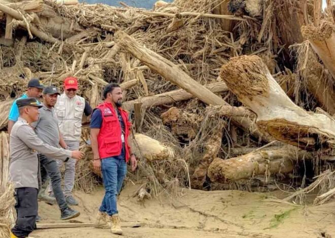 Mendagri Tegaskan Kayu Sisa Banjir di Sumatra Boleh Dimanfaatkan Warga, Perusahaan Dilarang Ambil