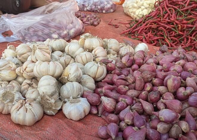 Harga Bawang Putih dan Bawang Merah Awal Februari 2026: BPS Catat Penurunan Tipis