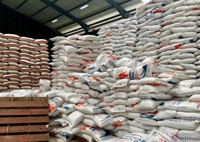 Bulog Sebut Stok Beras RI Capai Rekor, Ketahanan Pangan Tetap Terjaga