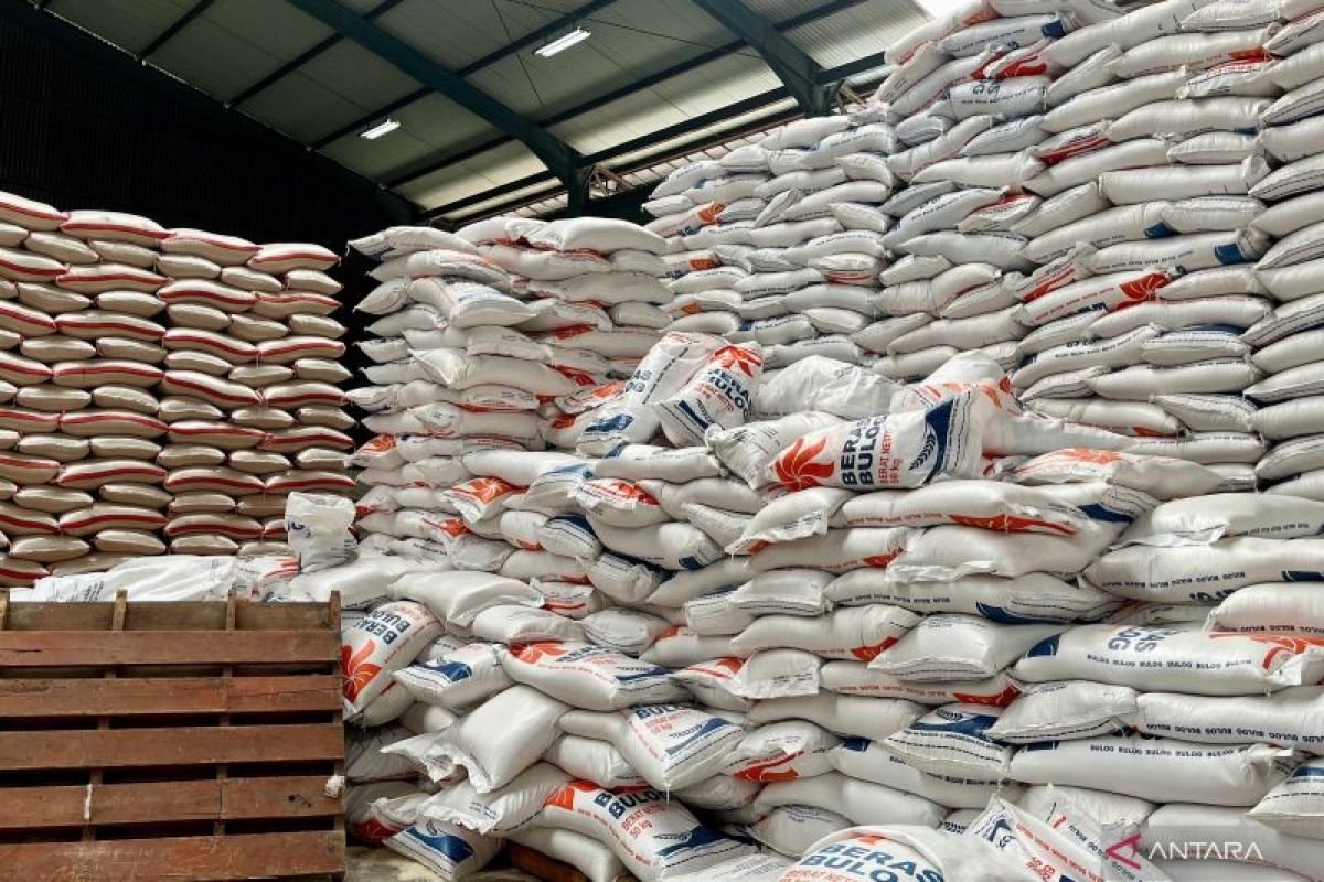 Bulog Sebut Stok Beras RI Capai Rekor, Ketahanan Pangan Tetap Terjaga