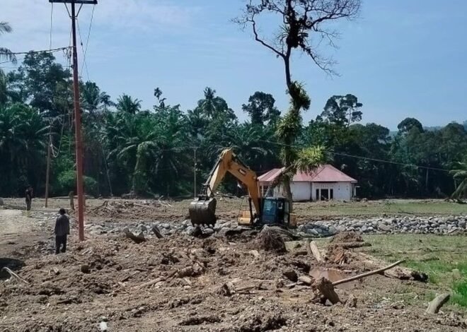 Agam Terima Rp28,3 Miliar dari Kementan untuk Pemulihan Sawah Pasca Banjir