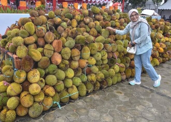 Barantin: Ekspor Durian Beku Tembus 151 Kontainer, Petani Untung Besar