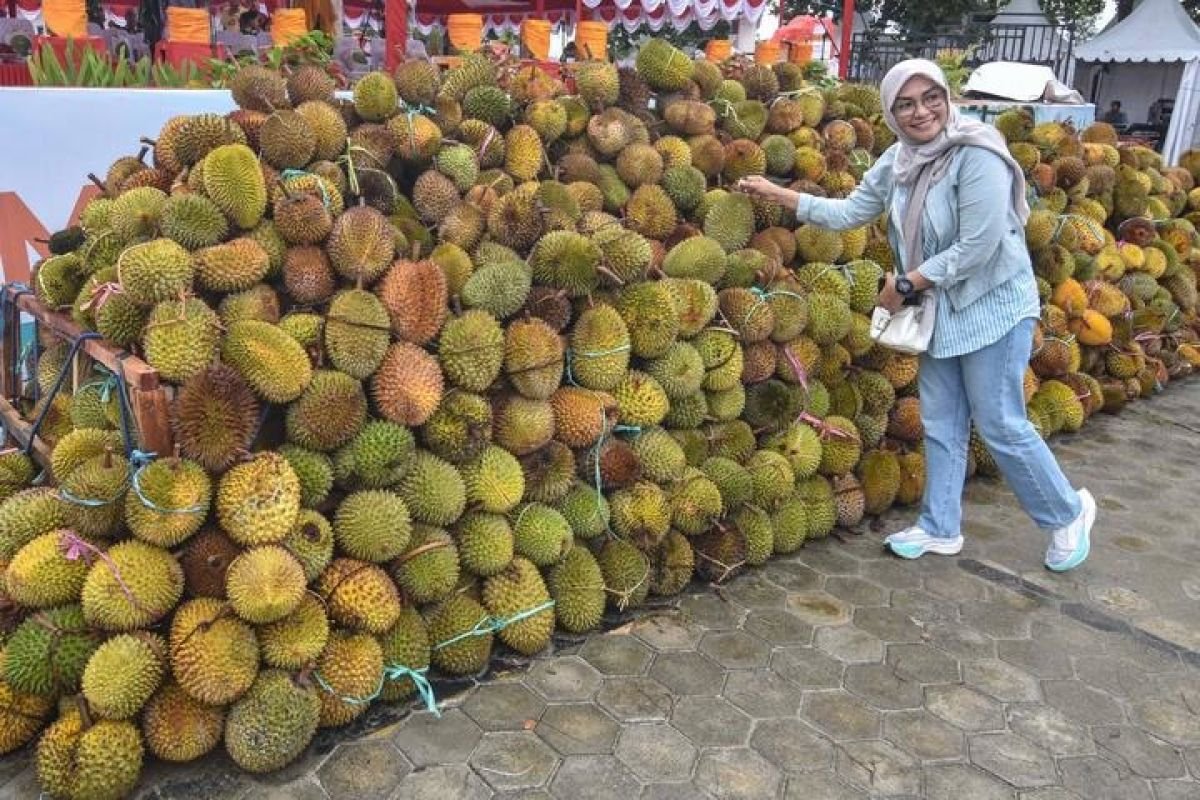 Barantin: Ekspor Durian Beku Tembus 151 Kontainer, Petani Untung Besar