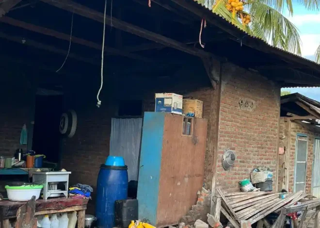 Gempa M4,7 Guncang Adonara, 79 Rumah Warga Flores Timur Rusak