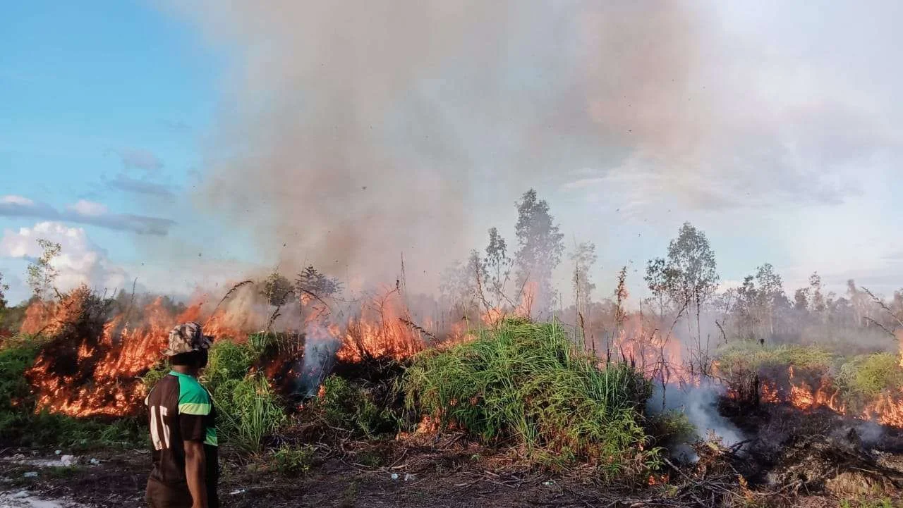Antisipasi Kebakaran, OKI, Ogan Ilir, dan Muba Tetapkan Status Siaga