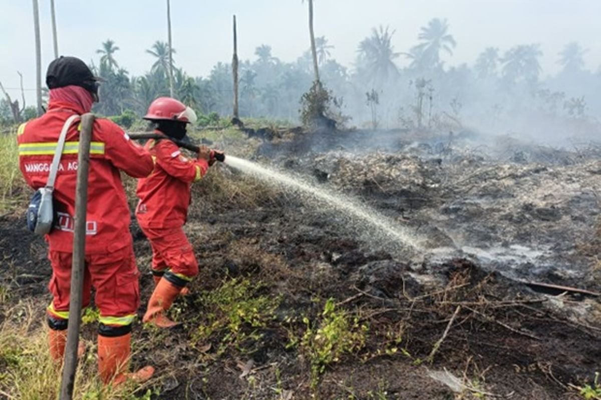 Luas Karhutla Riau Tembus 3.456 Hektare, BNPB Intensifkan Pemadaman dan Operasi Modifikasi Cuaca