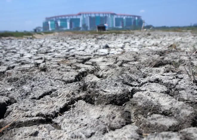 Jawa Timur Waspada Kemarau Panjang 2026, BPBD Siapkan Logistik dan Pemantauan