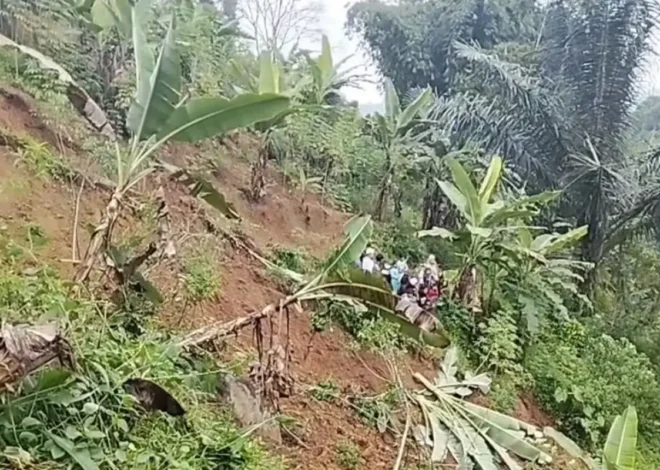 BPBD Evakuasi Korban dan Jenazah Usai Longsor Terjang Desa Batulawang