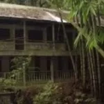 Viral Bangunan Misterius di Hutan Lampung, Diduga Istana Tua Tanpa Penghuni