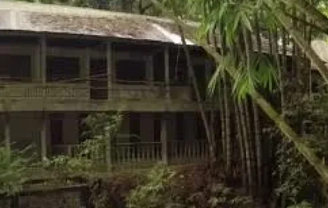 Viral Bangunan Misterius di Hutan Lampung, Diduga Istana Tua Tanpa Penghuni