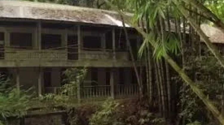 Viral Bangunan Misterius di Hutan Lampung, Diduga Istana Tua Tanpa Penghuni