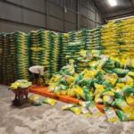 Stok Beras Terkendali, Bulog Jaga Stabilitas Harga Pangan