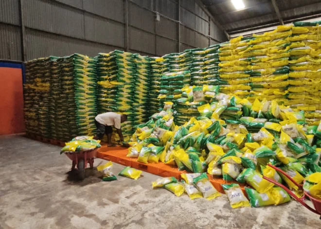 Stok Beras Terkendali, Bulog Jaga Stabilitas Harga Pangan