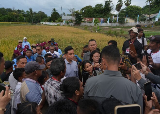 Wapres Gibran Serahkan Alat Tani untuk Tingkatkan Produktivitas Petani Milenial di NTT