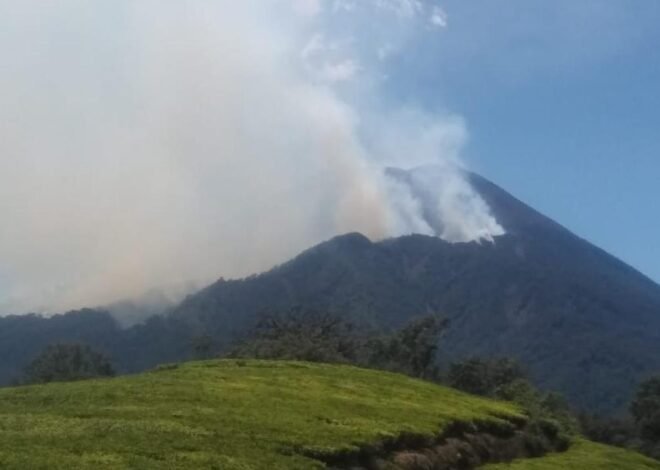 Suhu Kawah Naik, BPBD Banyumas Waspadai Ancaman Gunung Slamet
