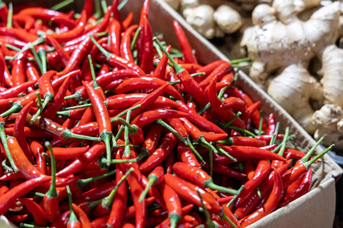 PIHPS Catat Harga Pangan Nasional, Cabai dan Minyak Goreng Masih Tinggi
