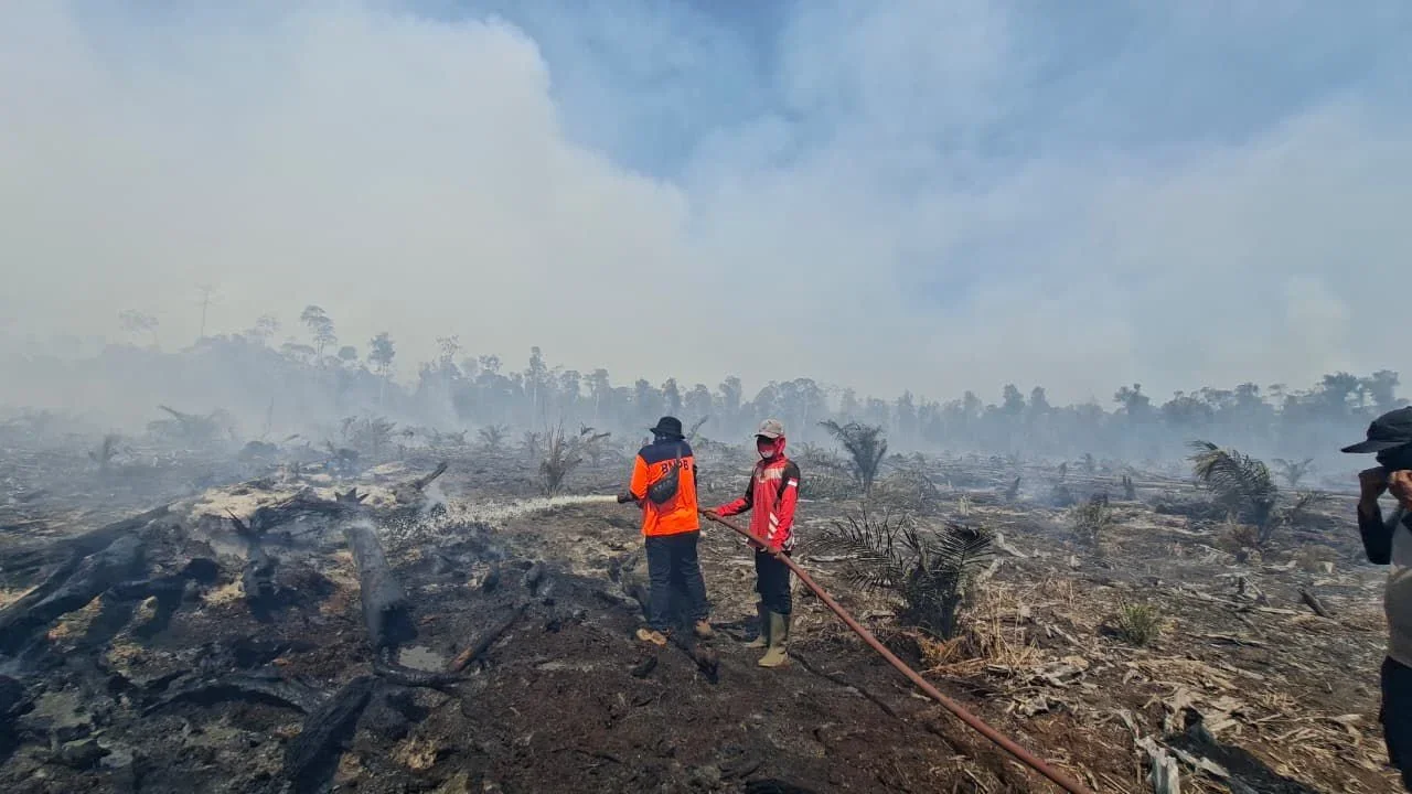Cuaca Panas dan Angin Kencang Picu Karhutla di Aceh, BNPB Imbau Warga Waspada