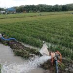 Kementan Waspadai Dampak El Nino, Produksi Pangan Nasional Harus Tetap Terjaga