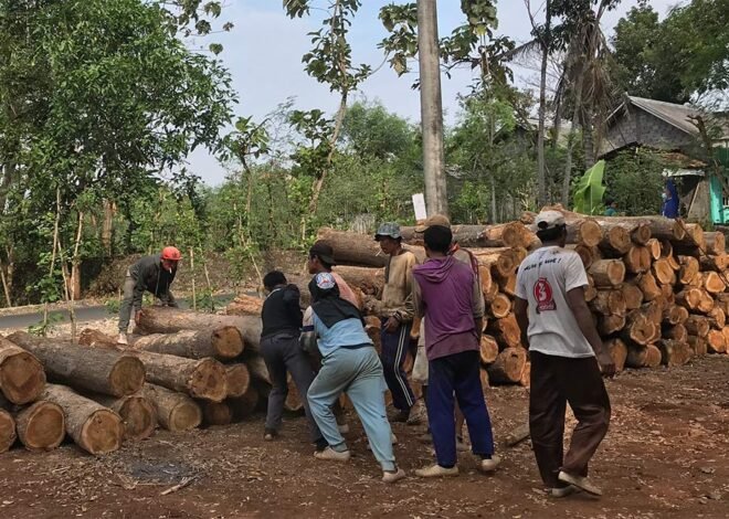 Pemanfaatan Hasil Hutan Dinilai Penting untuk Jaga Ekosistem dan Ekonomi Masyarakat