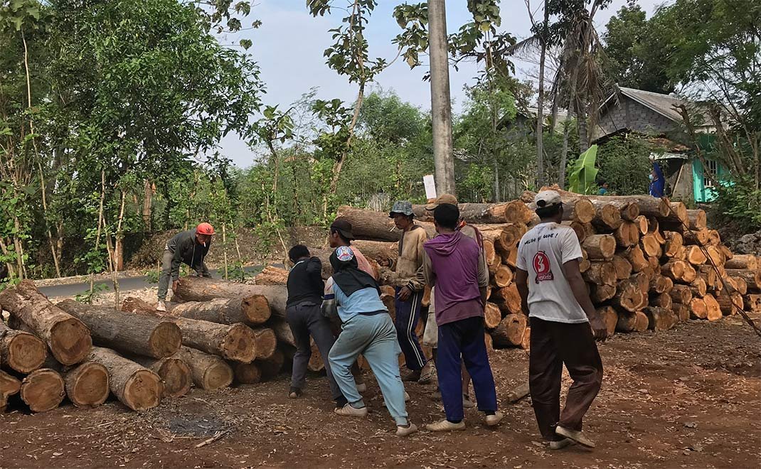 Pemanfaatan Hasil Hutan Dinilai Penting untuk Jaga Ekosistem dan Ekonomi Masyarakat