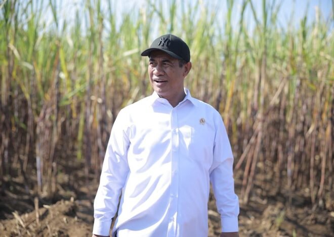 Produksi Gula Nasional Diproyeksi Tembus 3,04 Juta Ton, Kementan Genjot Revitalisasi Industri Gula