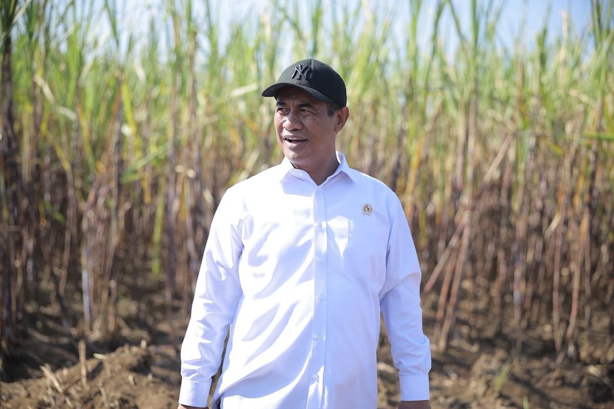Produksi Gula Nasional Diproyeksi Tembus 3,04 Juta Ton, Kementan Genjot Revitalisasi Industri Gula