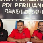 PDIP Belum Beri Sanksi Veronika Lake, Andreas: Tunggu Kepastian Hukum
