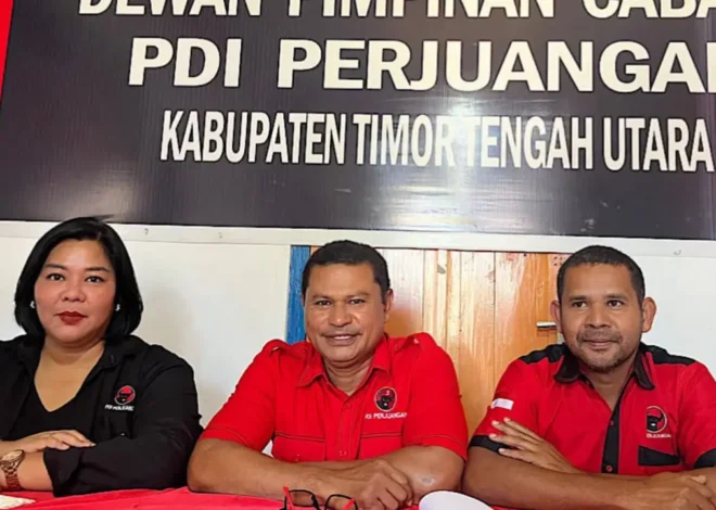 PDIP Belum Beri Sanksi Veronika Lake, Andreas: Tunggu Kepastian Hukum