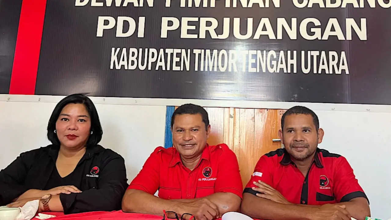 PDIP Belum Beri Sanksi Veronika Lake, Andreas: Tunggu Kepastian Hukum