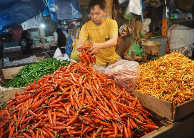 Daftar Harga Pangan 27 Agustus: Cabai Rawit Naik, Daging dan Telur Stabil