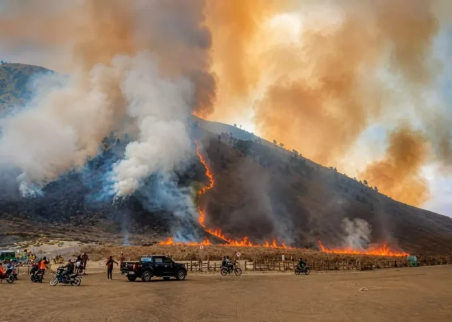 Karhutla Gunung Bromo Capai 60 Hektare, Api Tersebar di Probolinggo dan Malang