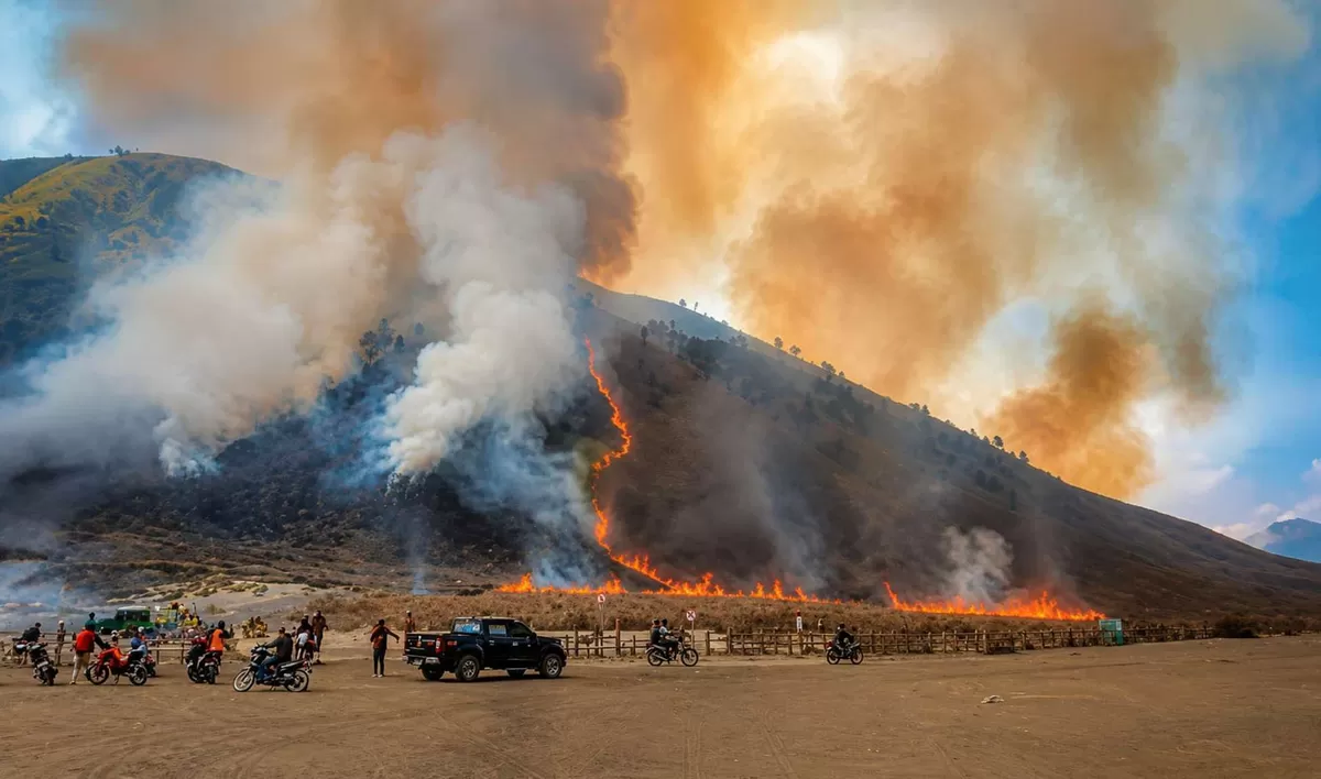 Karhutla Gunung Bromo Capai 60 Hektare, Api Tersebar di Probolinggo dan Malang